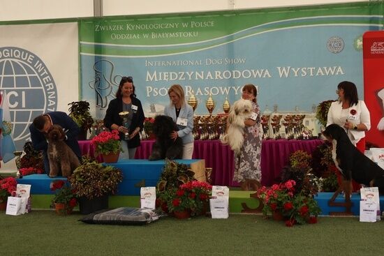 2025.08.24 - XIX i XX Międzynarodowa Wystawa Psów Rasowych