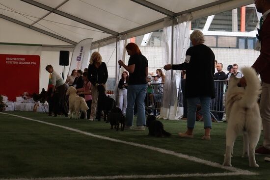 2025.08.24 - XIX i XX Międzynarodowa Wystawa Psów Rasowych