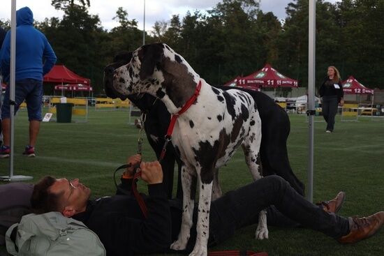 2025.08.24 - XIX i XX Międzynarodowa Wystawa Psów Rasowych