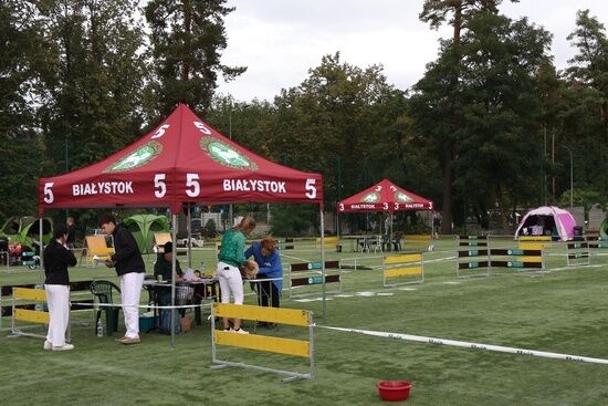 2025.08.24 - XIX i XX Międzynarodowa Wystawa Psów Rasowych