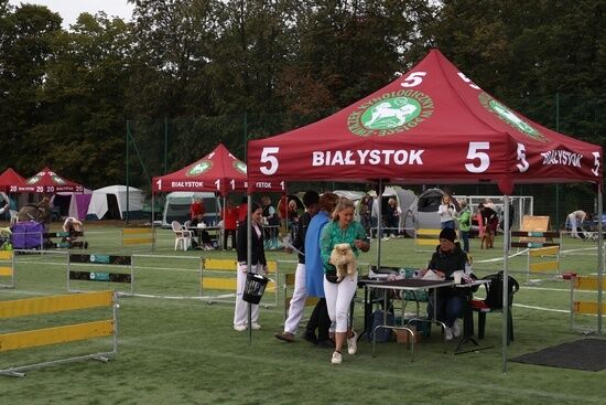 2025.08.24 - XIX i XX Międzynarodowa Wystawa Psów Rasowych