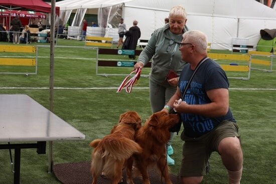 2025.08.24 - XIX i XX Międzynarodowa Wystawa Psów Rasowych