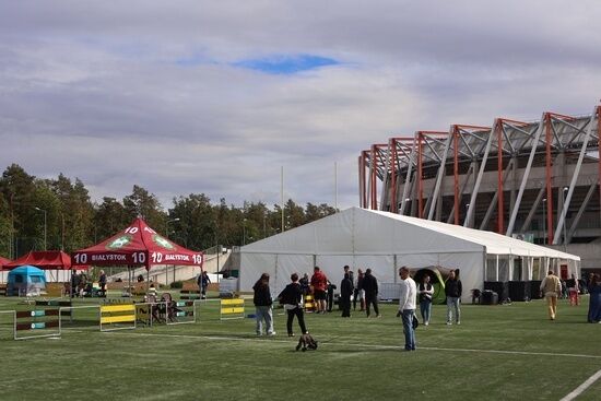 2025.08.24 - XIX i XX Międzynarodowa Wystawa Psów Rasowych