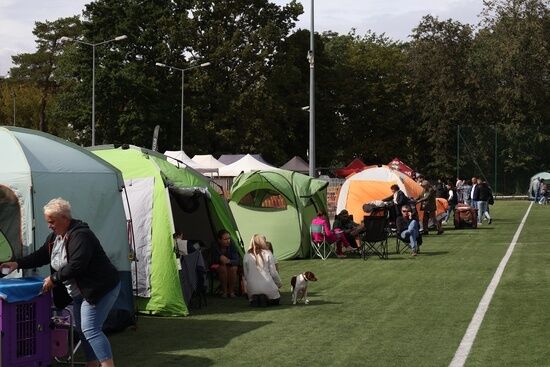 2025.08.24 - XIX i XX Międzynarodowa Wystawa Psów Rasowych