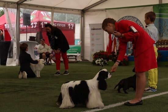 2025.08.24 - XIX i XX Międzynarodowa Wystawa Psów Rasowych