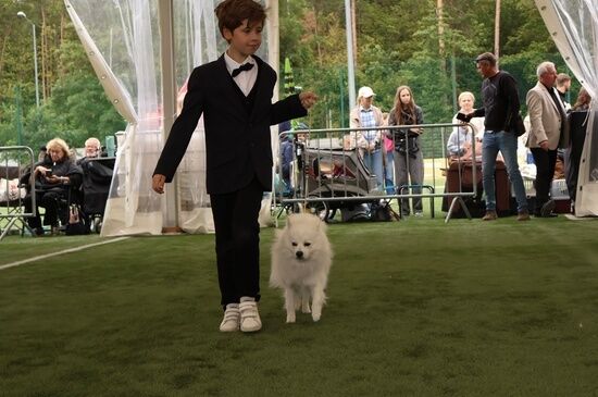 2025.08.24 - XIX i XX Międzynarodowa Wystawa Psów Rasowych