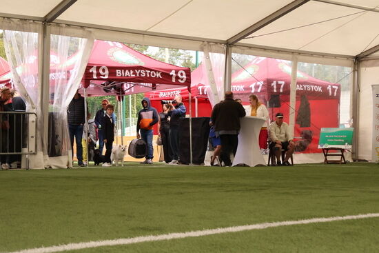 2025.08.24 - XIX i XX Międzynarodowa Wystawa Psów Rasowych