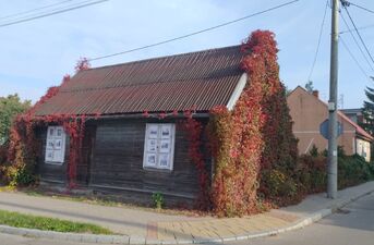 Historia Dworka Herbstów. W Białymstoku pojawi się nowa wystawa uliczna