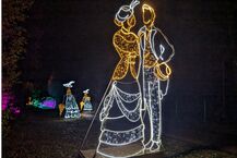 Piraci, magiczne rośliny i milion świateł. Dziś otwarcie Lumina Park