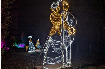 Piraci, magiczne rośliny i milion świateł. Dziś otwarcie Lumina Park