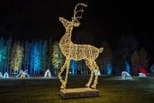 Piraci, magiczne rośliny i milion świateł. Dziś otwarcie Lumina Park