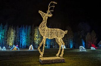 Piraci, magiczne rośliny i milion świateł. Dziś otwarcie Lumina Park