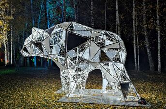 Piraci, magiczne rośliny i milion świateł. Dziś otwarcie Lumina Park