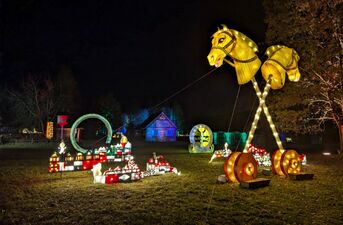 Piraci, magiczne rośliny i milion świateł. Dziś otwarcie Lumina Park