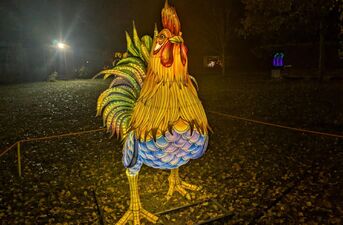 Piraci, magiczne rośliny i milion świateł. Dziś otwarcie Lumina Park