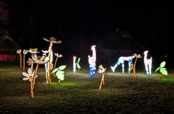 Piraci, magiczne rośliny i milion świateł. Dziś otwarcie Lumina Park