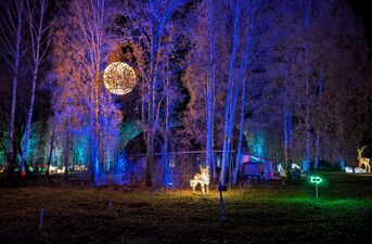 Piraci, magiczne rośliny i milion świateł. Dziś otwarcie Lumina Park