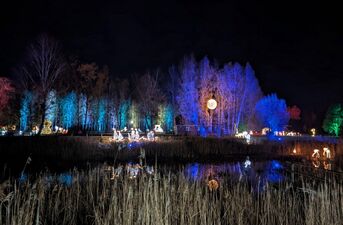 Piraci, magiczne rośliny i milion świateł. Dziś otwarcie Lumina Park