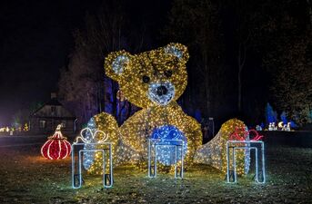 Piraci, magiczne rośliny i milion świateł. Dziś otwarcie Lumina Park