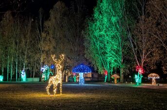 Piraci, magiczne rośliny i milion świateł. Dziś otwarcie Lumina Park