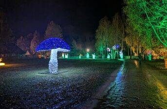 Piraci, magiczne rośliny i milion świateł. Dziś otwarcie Lumina Park