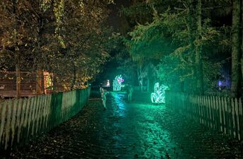 Piraci, magiczne rośliny i milion świateł. Dziś otwarcie Lumina Park