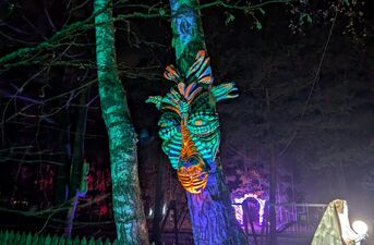 Piraci, magiczne rośliny i milion świateł. Dziś otwarcie Lumina Park