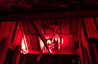 Piraci, magiczne rośliny i milion świateł. Dziś otwarcie Lumina Park