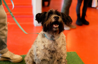 WZORY Targi Mody i Rzemiosła w Białymstoku