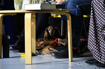 Festiwal Literacki "Autorzy I Książki" - Edycja IX - Ach! Rodzina!