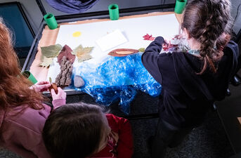 19. Międzynarodowy Festiwal Filmów Krótkometrażowych ŻUBROFFKA 2025 