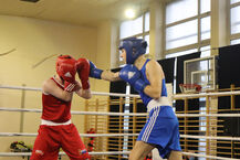 XVII Mikołajkowy Turniej w Boksie Olimpijskim