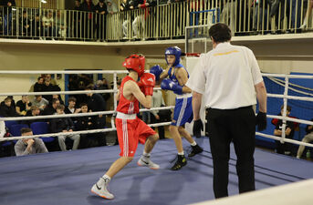 XVII Mikołajkowy Turniej w Boksie Olimpijskim