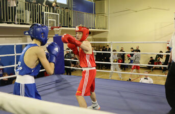 XVII Mikołajkowy Turniej w Boksie Olimpijskim