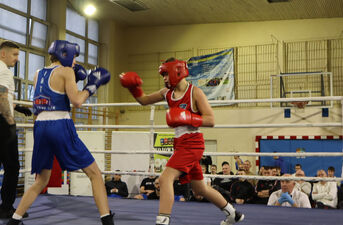 XVII Mikołajkowy Turniej w Boksie Olimpijskim