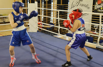 XVII Mikołajkowy Turniej w Boksie Olimpijskim