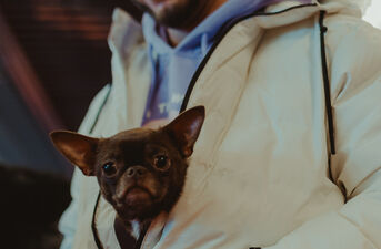 8. Targi Rzeczy Handmade | Edycja Walentynkowa