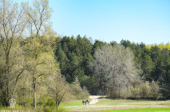 Orient Gravel Mielnik