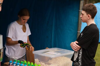 Festiwal Baniek w Parku Antoniuk