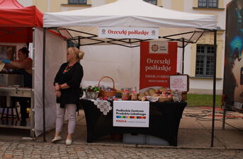 Rodzinny Retro Piknik PKS