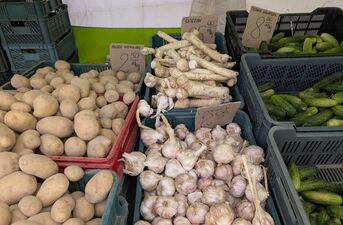 Ceny owoców i warzyw pod lupą. Gdzie jest najtaniej?