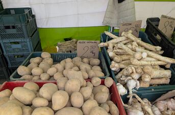 Ceny owoców i warzyw pod lupą. Gdzie jest najtaniej?