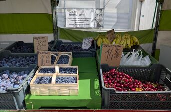 Ceny owoców i warzyw pod lupą. Gdzie jest najtaniej?