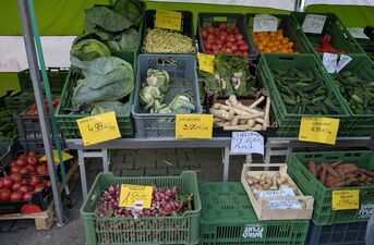 Ceny owoców i warzyw pod lupą. Gdzie jest najtaniej?