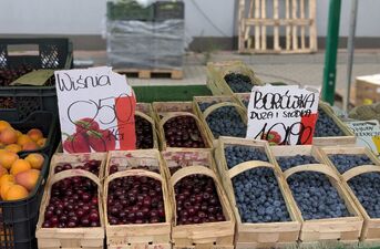 Ceny owoców i warzyw pod lupą. Gdzie jest najtaniej?