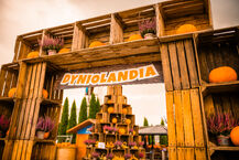 Dyniolandia w FastParku