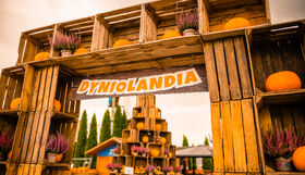 Dyniolandia w FastParku