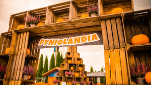 Dyniolandia w FastParku