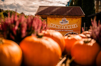 Dyniolandia w FastParku