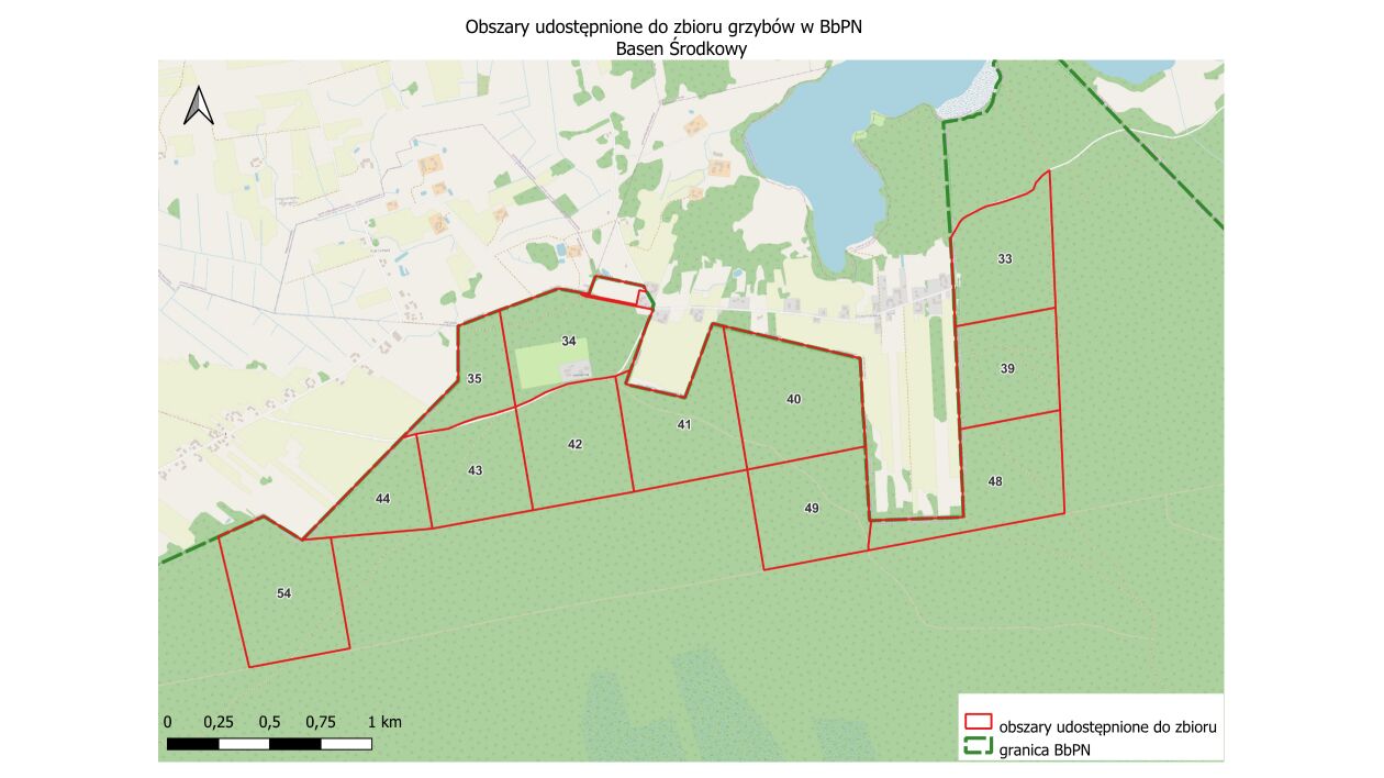 Grzyby w Biebrzańskim Parku Narodowym. Tu można je zbierać